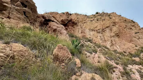 Yeşilliklerle bezenmiş kayalık bir kıyı şeridinin çarpıcı manzarası, muhteşem güzellikler sergiliyor.