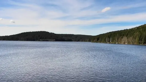 Yoğun ormanlar ve açık gökyüzü ile çevrili huzurlu bir göl manzarası doğa severler için mükemmel.
