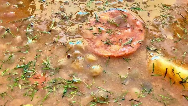 Canlı, ağız sulandıran bir güveç. Bitkiler, baharatlar ve mükemmel pişirilmiş aromalı malzemeler..