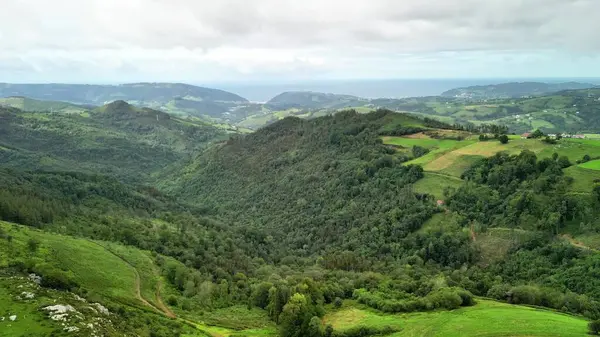 Göz kamaştırıcı bir panoramik manzara güzel bir şekilde canlı tepeler, yemyeşil yemyeşil ve sakin bir okyanus arkaplanı sergiliyor.