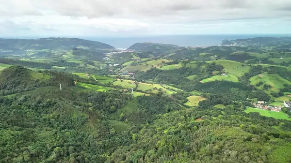 Nefes kesici bir hava manzarası alın canlı yeşillik sergileniyor çarpıcı okyanus kıyılarıyla güzel bir şekilde buluşuyor