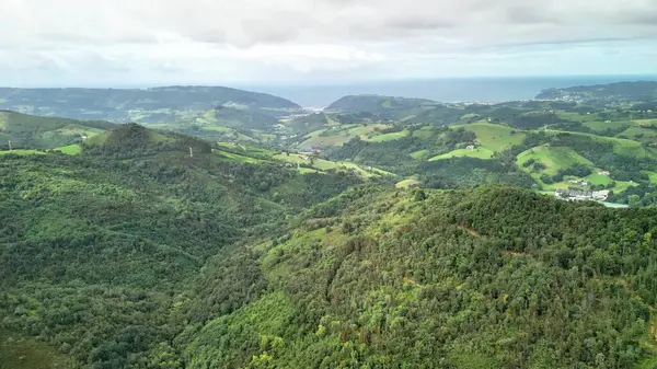 Nefes kesici bir hava manzarası, yemyeşil tepeler ve berrak bir gökyüzünün altında uzanan pitoresk bir okyanusu sergiliyor.