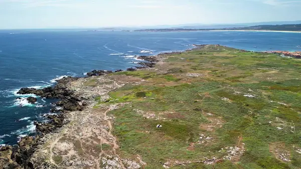 Açık mavi gökyüzünün altında canlı yeşilliklerle bezenmiş kayalık bir kıyı şeridinin nefes kesici hava manzarası..