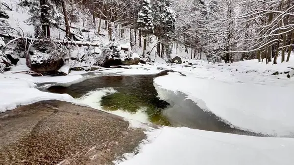 Güzel ve sakin bir kış sahnesinde karla kaplı bir nehir sakin bir ormanın içinden yavaşça akıyor.