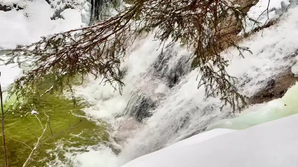 Göz kamaştırıcı güzellikte bir kış manzarası büyüleyici bir şelalenin karla kaplı arazide dalgalanmasını gösteriyor.