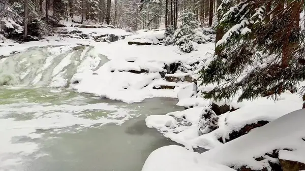 Donmuş bir şelaleyi gözler önüne seren güzel, sakin bir kış manzarası. Etrafı karla kaplı ağaçlarla çevrili.