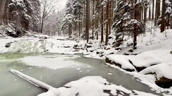 Sakin bir kış sahnesinde karla kaplı ağaçlar ve donmuş bir nehir, huzur ve sükunet hissi uyandırıyor.