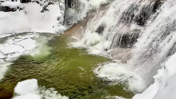 Kış ormanında şelale. Yüksek kalite 4k görüntü