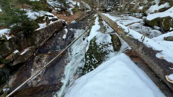 Huzurlu bir kış manzarası. Karlı bir manzara, akan bir dere ve sakin bir ormanda kayalık bir arazi..