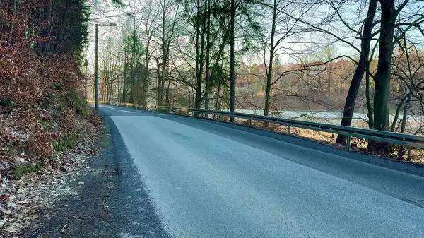 Yükselen ağaçlarla kaplı huzurlu bir yol boyunca, sersemletici mavi gökyüzünün altında sakin bir nehir yatağı görülebilir.