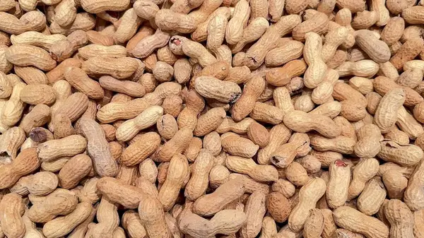 Çok detaylı bir yakın çekim görüntüsü düz bir yüzey boyunca dağılmış sayısız ham, kabuklu fıstık gösteriyor.