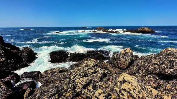 Göz kamaştırıcı bir okyanus manzarası kayalık bir kıyı şeridi, canlı dalgalar ve hepsinin üzerinde açık mavi bir gökyüzü sergiliyor.