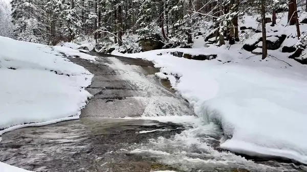 Göz kamaştırıcı bir kış sahnesinde, karlı manzaralar ve yemyeşil ağaçların ortasındaki dingin bir nehir güzellik yaratıyor.