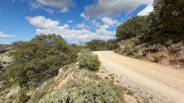 Etrafı gür ağaçlar ve kabarık bulutlarla çevrili dağlarda uzanan güzel, dolambaçlı bir yol.