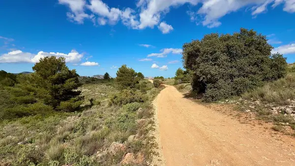 Parlak mavi bir gökyüzünün altında yemyeşil ağaçlar tarafından kucaklanan huzurlu bir yolculuğa çık.