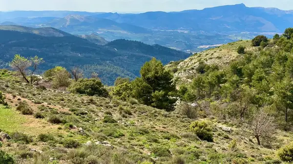 Muhteşem dağların nefes kesici ve çarpıcı manzarası güzel bir gökyüzünün altındaki canlı yeşillikle harmanlanmış.