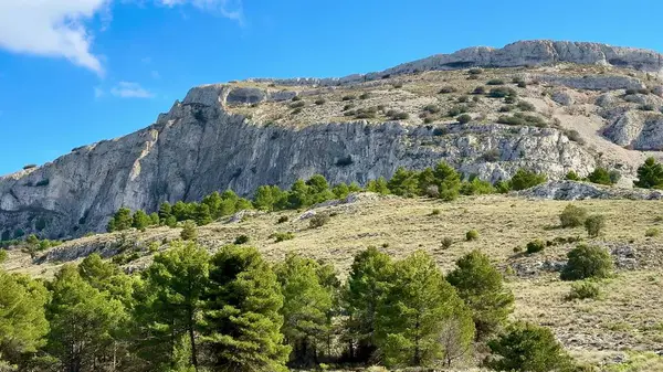 Nefes kesici dağ manzaraları sergiliyor yemyeşil, parlak, berrak mavi gökyüzüne karşı güzel bir zıtlık.