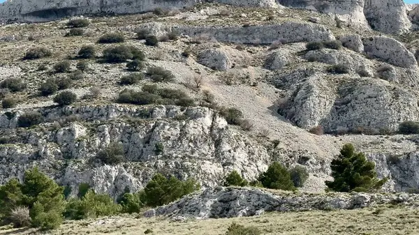 Berrak mavi gökyüzünün altındaki dingin tepelerdeki nefes kesici kayalık arazileri ve canlı yemyeşil bitkileri keşfedin.