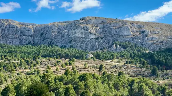 Engebeli bir dağ sırasının çarpıcı manzarası berrak mavi gökyüzünün altında canlı yeşilliklerle çevrilidir.