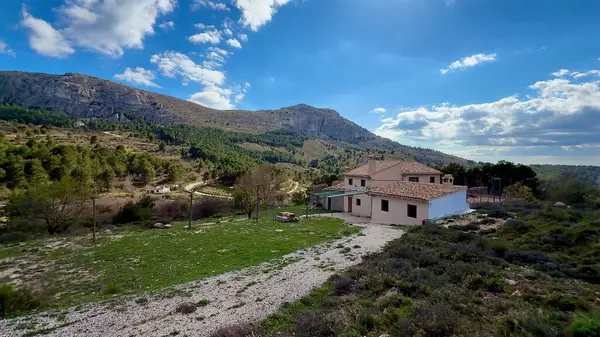 Sakin bir dağ manzarasında, yemyeşil, canlı yeşilliklerle çevrili şaşırtıcı derecede güzel bir ev bulabilirsiniz.