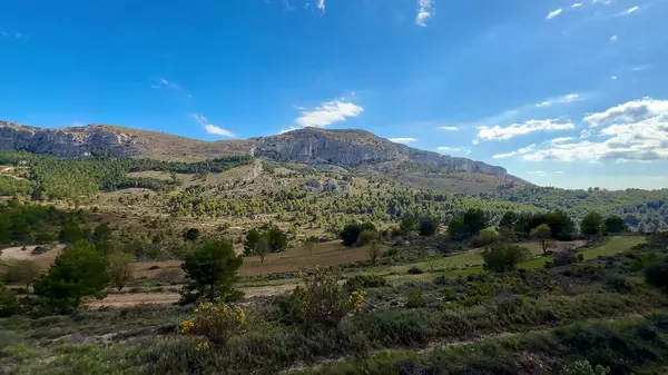 Sersemletici ve nefes kesici dağlar berrak mavi bir gökyüzü altında görkemli bir şekilde yükseliyor, yemyeşil yemyeşil ile çevrili.