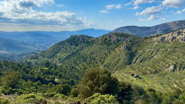 Çevredeki büyüleyici güzelliği ve canlı yeşilliği gösteren nefes kesici dağ manzaralarını keşfedin.