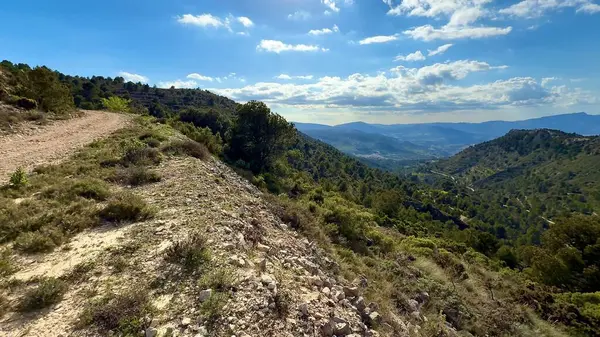Berrak mavi gökyüzünün altında canlı yeşillikle engin bir dağ manzarasının tadını çıkar.