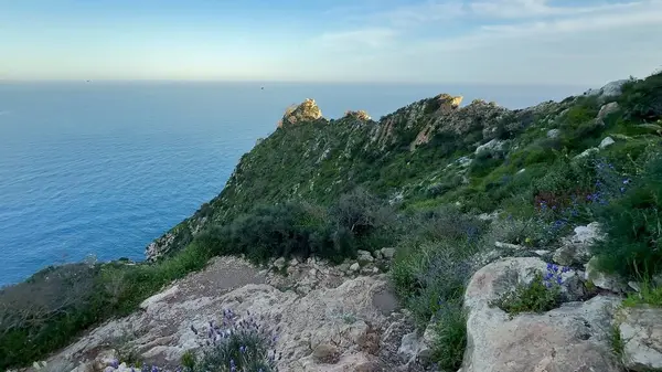 Büyüleyici bir kıyı şeridi, yemyeşil alanlarda esiyor ve büyüleyici okyanus dalgalarına yol açıyor.