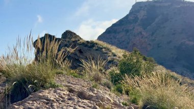 Görkemli uçurumlar sakin okyanus sularıyla buluşuyor, doğanın nefes kesen güzelliğini gösteriyorlar.