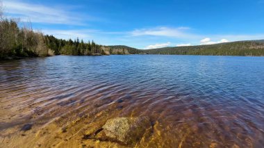 Güzel, sakin bir göl manzarası parıldayan su, yemyeşil ağaçlar ve yukarıda parlak mavi bir gökyüzü.