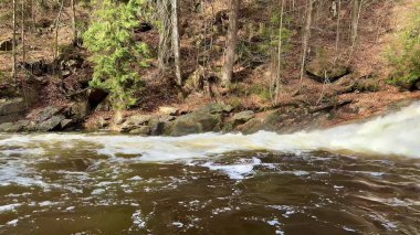 Muhteşem bir şelalenin büyüleyici ve nefes kesici manzarası sakin bir ormanlık alanda zarafetle akıyor.