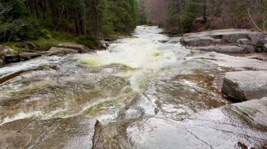Sakin bir nehir, canlı bir ormandaki pürüzsüz kayaların üzerinden akar. İlkbaharda görkemli doğalar sergiler.