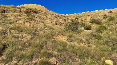 Yeşillik ve temiz gökyüzü ile çevrili bir tepedeki antik kalıntıların çarpıcı manzarası doğa aşıkları için mükemmel.