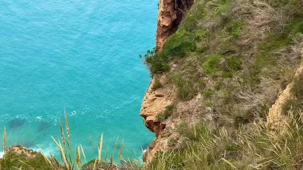 Uçurumun kenarından büyüleyici bir manzara, yemyeşil bir manzaranın altında canlı bir turkuaz deniz var.