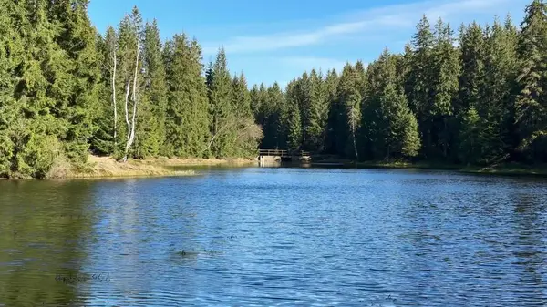 Parlak mavi gökyüzünün altında yükselen yeşilliklerle süslenmiş sakin bir nehir manzarası.