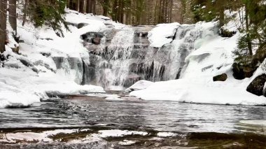 Huzurlu bir kış sahnesi. Huzurlu bir ormanda buz ve kar üzerinde çağlayan görkemli bir şelale..