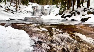 Bereketli, karla kaplı ağaçlarla çevrili donmuş bir şelalenin güzel ve sakin bir manzarası.