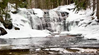 Karlar ve yüksek ağaçlarla çevrili nefes kesici bir kış şelalesi, sakin bir orman ortamında yer almaktadır.