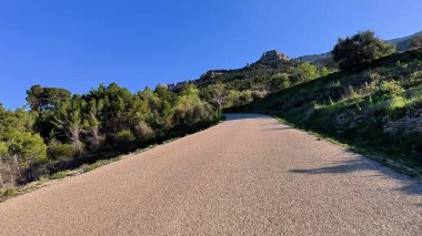 Berrak mavi bir gökyüzünün altındaki bereketli ağaçlarla çevrili dolambaçlı bir yolun nefes kesici güzel manzarası.