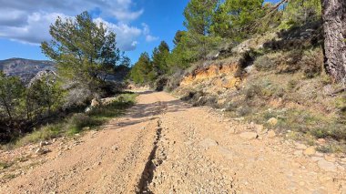 Resimli toprak bir yol bereketli ağaçlar ve dağlarla çevrilidir, heyecan verici açık hava maceraları için idealdir.