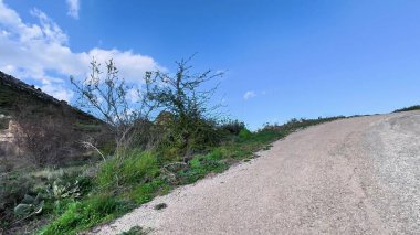 Sakin ve huzurlu bir çakıl yolu yemyeşil tepelerle çevrili ve açık mavi gökyüzünün altında uzanıyor.
