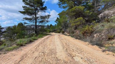 Bereketli yeşil çam ağaçları ve açık mavi gökyüzünün altındaki kayalık arazide zarif bir şekilde dolambaçlı toprak bir yol.