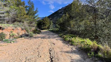Huzurlu toprak bir patika boyunca huzurlu bir yürüyüş yapın. Etrafı canlı yeşillikler ve görkemli dağlarla çevrili.