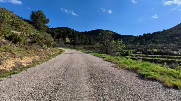 Çekici ve pitoresk çakıllı bir yol. Parlak mavi, berrak gökyüzünün altındaki yemyeşil tepelerin arasında yol alıyor.