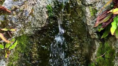 Huzurlu ve huzurlu bir dere, canlı yeşil yosun ve yemyeşil yapraklarla çevrili kayalık arazide yavaşça akar.
