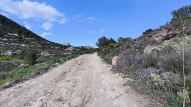 Resmedilmeye değer toprak bir yol, berrak mavi gökyüzünün altındaki yeşil tepeler ve çiçek açan bitkiler arasında dolanıyor.