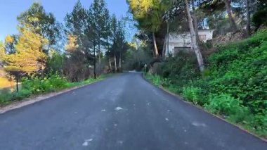 Bereketli ağaçları ve canlı çalıları olan sakin, dolambaçlı bir yol, doğa severler ve manzaralı geziler için mükemmel.