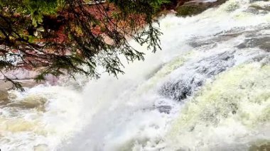 Parlak, renkli yeşilliklerle çevrili muhteşem bir şelalenin nefes kesici güzelliğine dalmak.