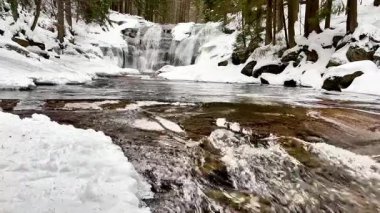Bu kış sahnesinde, zemini ve görkemli yemyeşil ağaçları kaplayan karların arasında çarpıcı bir şelale akıyor.