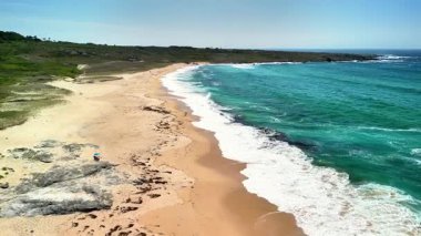 Yumuşak dalgaları, altın kumu ve berrak mavi gökyüzünün altında yemyeşil manzarası olan görkemli ve huzurlu bir sahil.